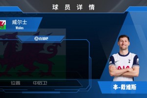 本·戴维斯集锦：经验十足！可中可边的威尔士后卫
